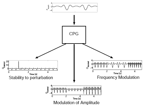 Central Pattern Generator En Español | central pattern generators central pattern generator neurons Central Pattern Generator En Español | central pattern generators central pattern generator neurons